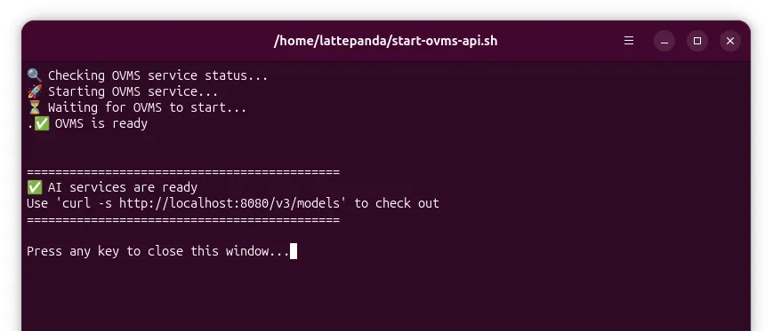 start_ovms_api_terminal