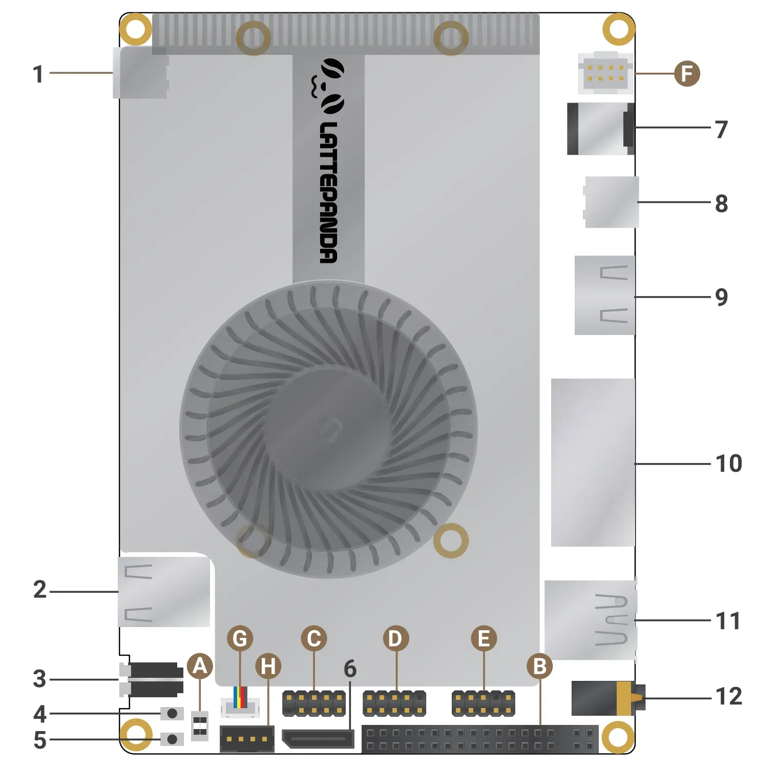 top_layout